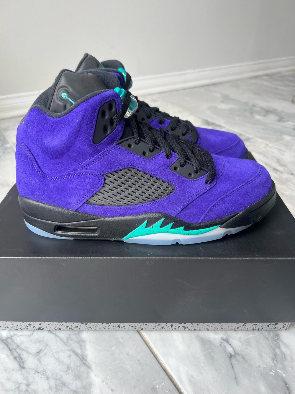 Air Jordan 5 Retro "Alternate Grape" Size 9